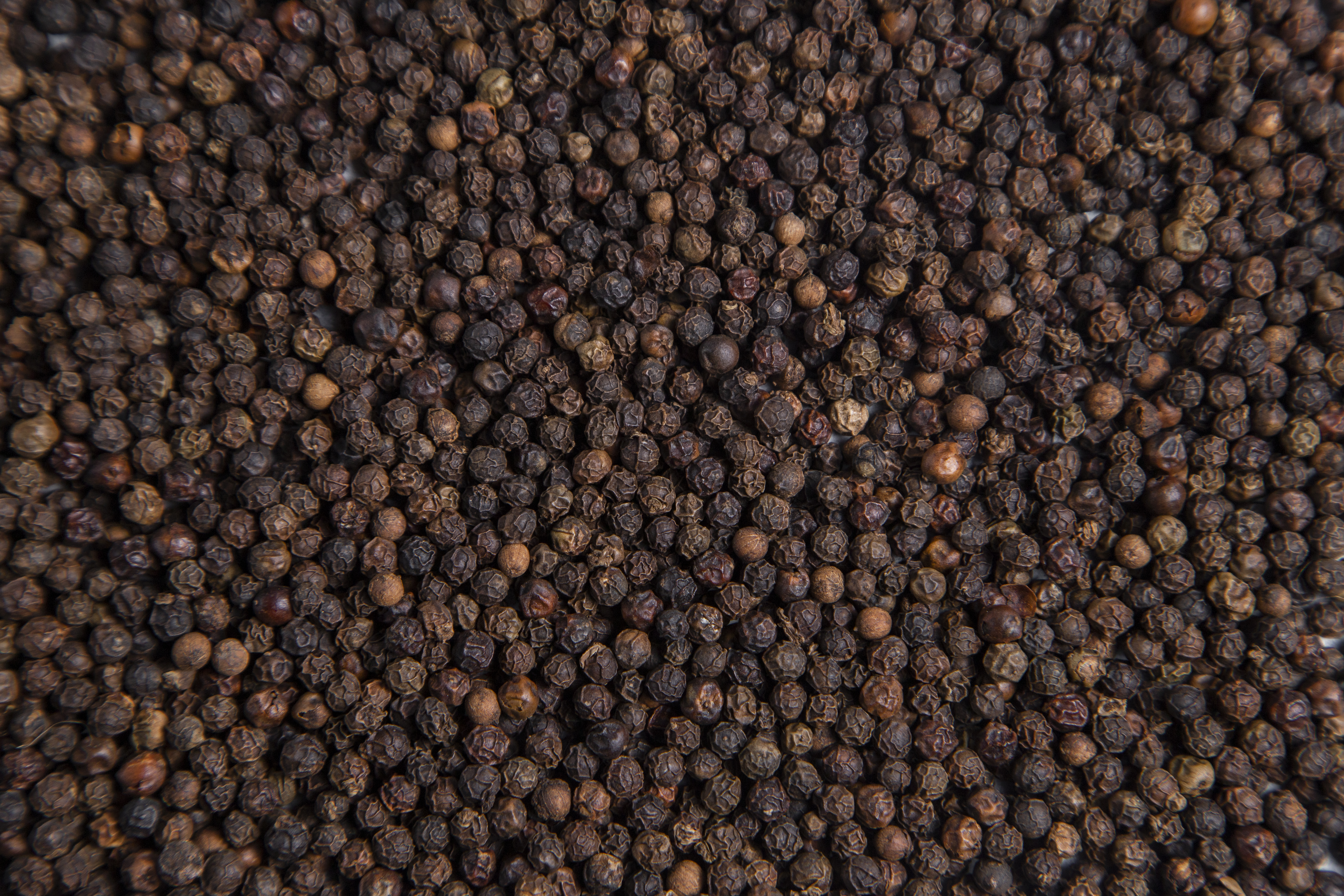 Black Pepper